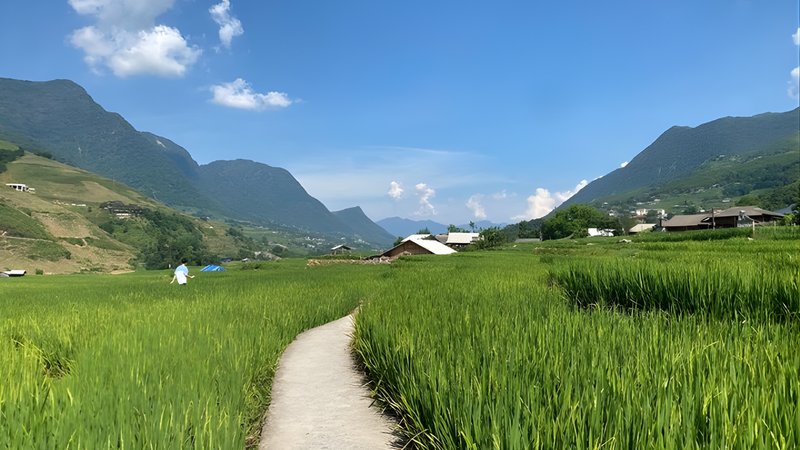 Trekking Sapa One Day (4)